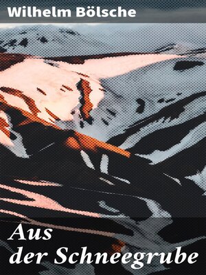 cover image of Aus der Schneegrube